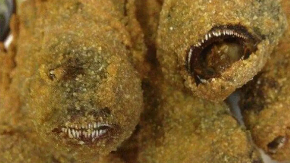 73 Cursed But Kind Of Amusing Photos You Can’t Help But Stare At