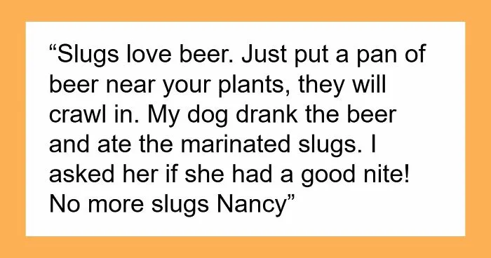 80 Of The Most Hilarious Posts From People Born Before The Internet Existed
