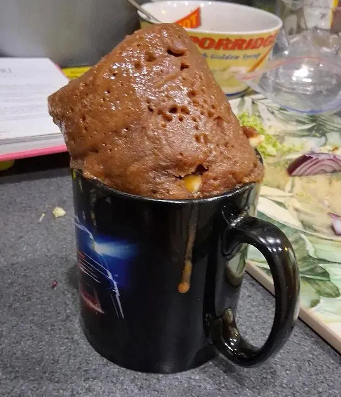 "Make A Mug Cake" They Said "Itll Be Fun" They Said