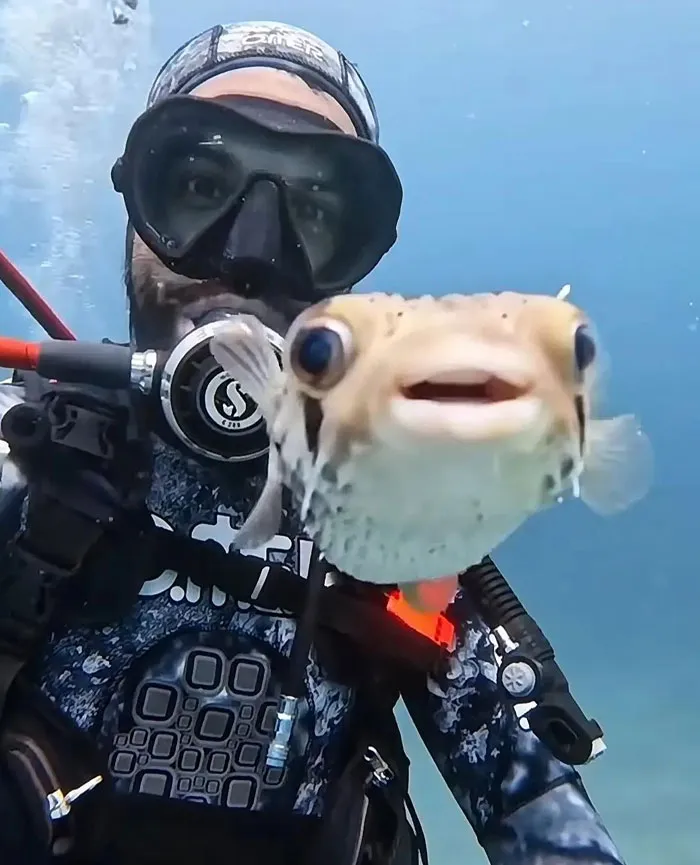 Took A Cute Screenshot From A Video