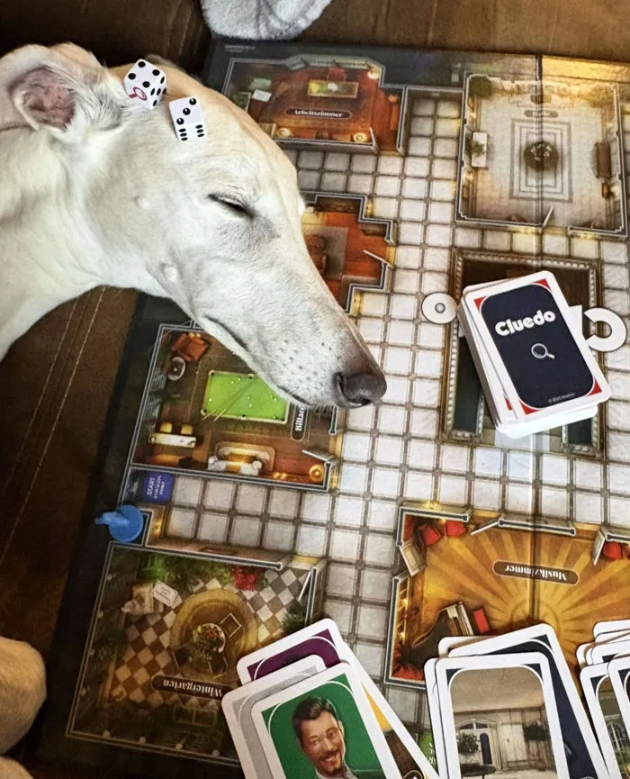 She Just Wanted To Take Part In Our Game