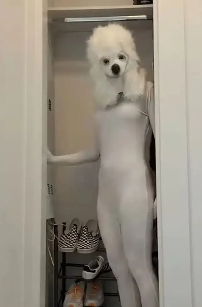 I Don't Even Know Why