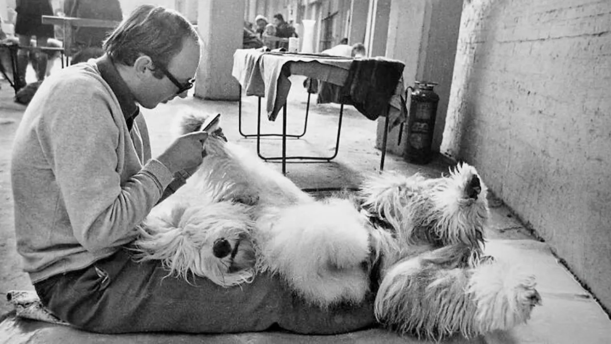 31 Remarkable Animal Encounters, As Shared By Pure Street Photography