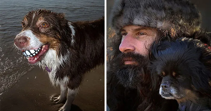 47 Perfectly Timed Candid Dog Photos By This Street Photographer