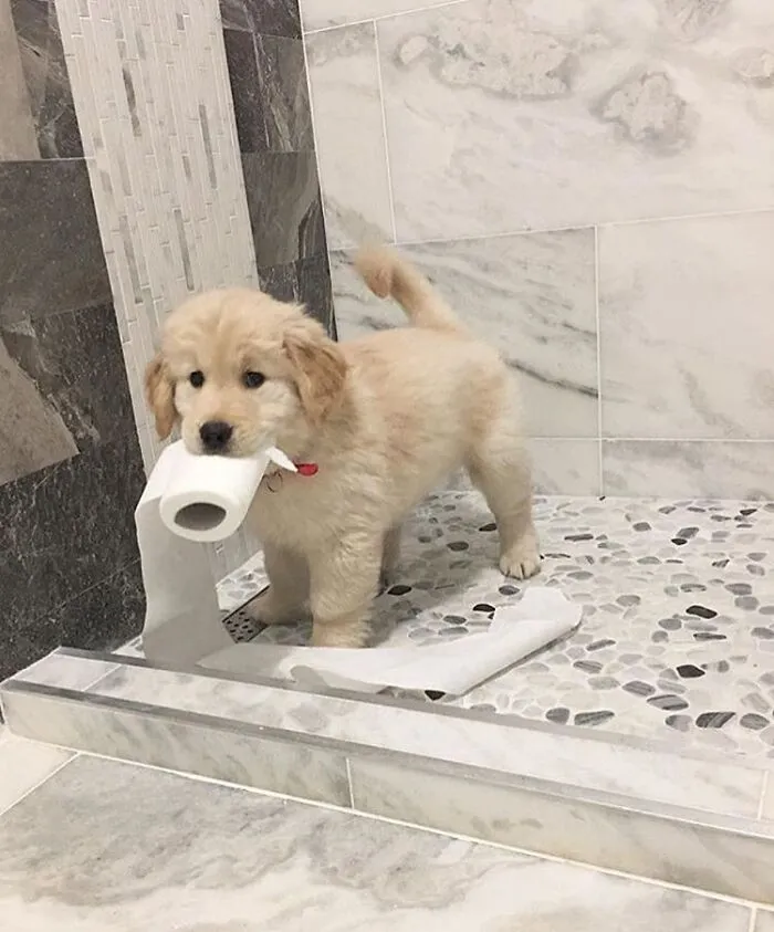 35 Fotos de animales para que tengas una sobredosis de ternura