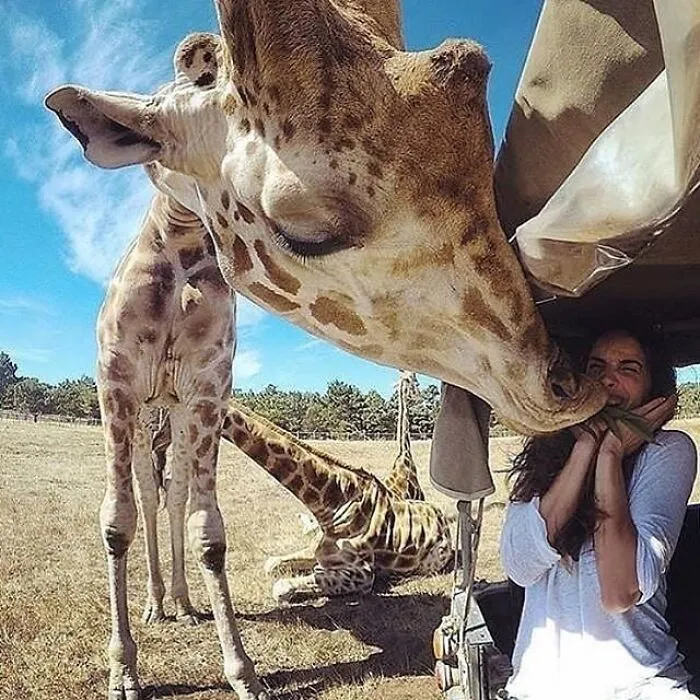 35 Fotos de animales para que tengas una sobredosis de ternura