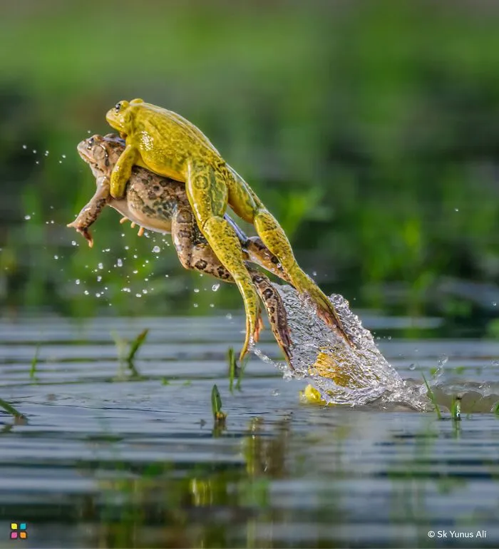 Let's Take A Ride By Sk Yunus Ali