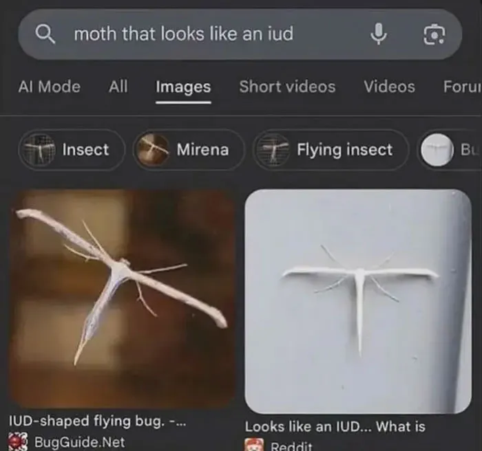 Extremely-Dumb-Funny-Screenshots
