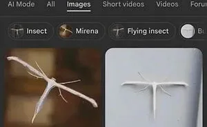 59 Funny And Dumb Screenshots That Show How Weird People On The Internet Can Be