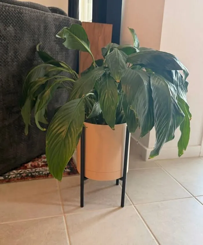 Design And Printed My Wife This Planter. What Do You Guys Think?