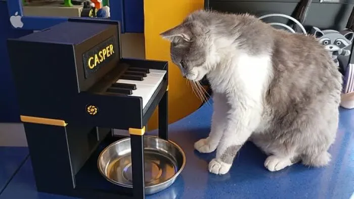 Turn Treat Time Into An Engaging Puzzle With This Piano-Themed Interactive Treat Dispenser For Cats And Other Small Pets