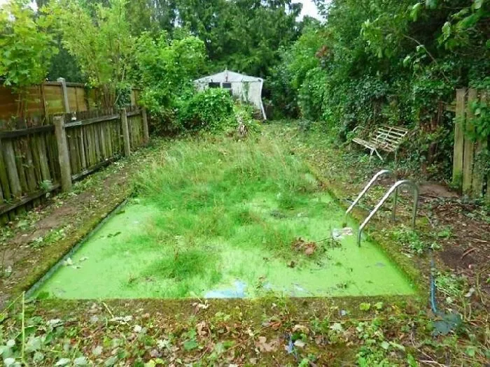 If The Weather Clears Up Later I Might Mow The Pool