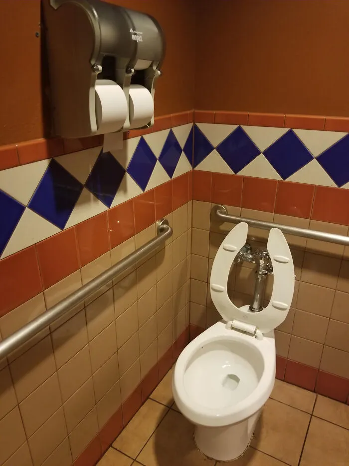 Not Sure If This Fits Here But.. You Install Bars For People That May Have Trouble Getting Up And Down Off The Toilet And Then Install The Toilet Paper Dispenser Almost 5 Feet Up Off The Floor?