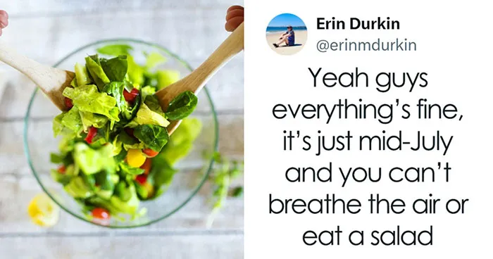 These 77 Tweets Were Considerably Funnier Than Anything Else On The Internet This July