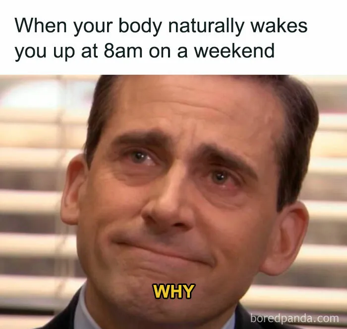 A still of Michael Scott crying with the caption When your body naturally wakes you up at 8am on a weekend. WHY, an ancient meme.
