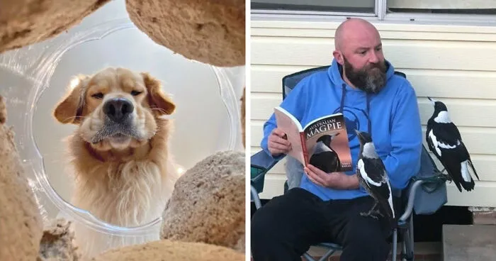 34 Personas que intentaron fotografiar a animales y terminaron con imágenes de pura comedia