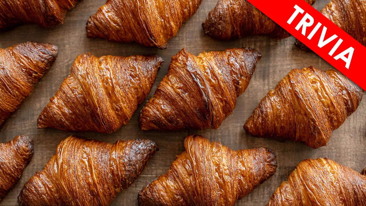 "Think You Have A Great Vocabulary?": Prove It With These 18 Words Ending In ‘-ANT’