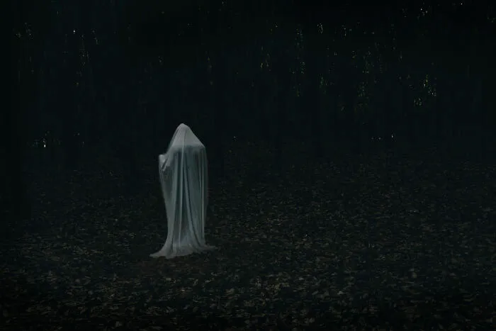 If You Think Every Ghost Video Is Fake, These 25 Clips Might Make You Think Twice