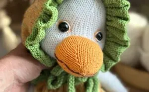 This Little Goose Finally Has Her Own Gooseberry-Inspired Outfit. 🪿🍃