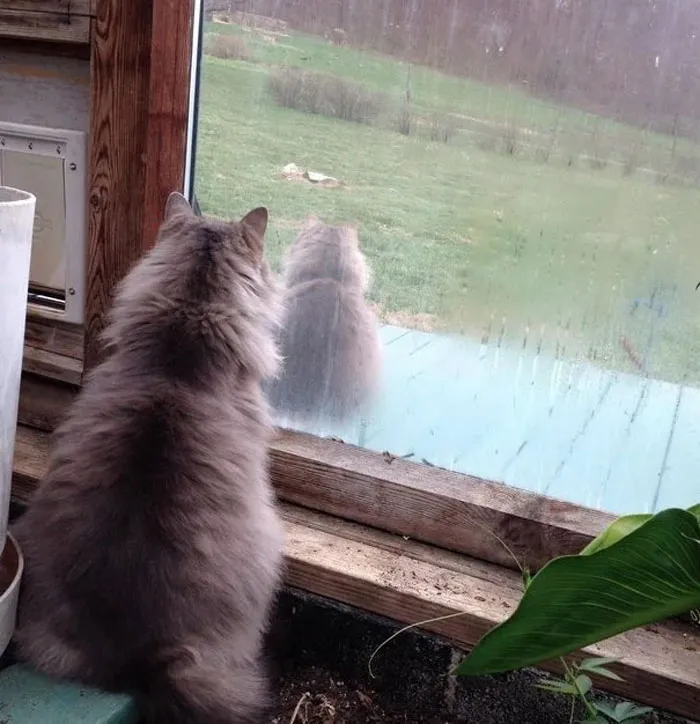 Glitch In The Matrix