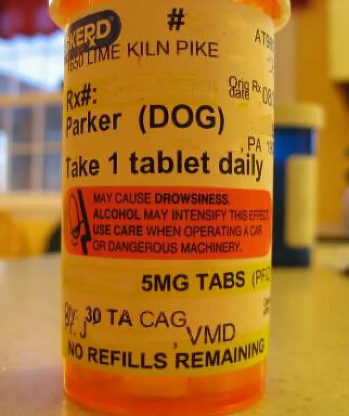 71 Warning Labels That Make You Wonder How Humanity Has Survived This Long