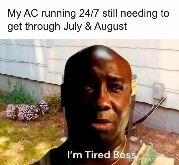 62 Funny Memes For People Who Feel Personally Attacked By The Sun
