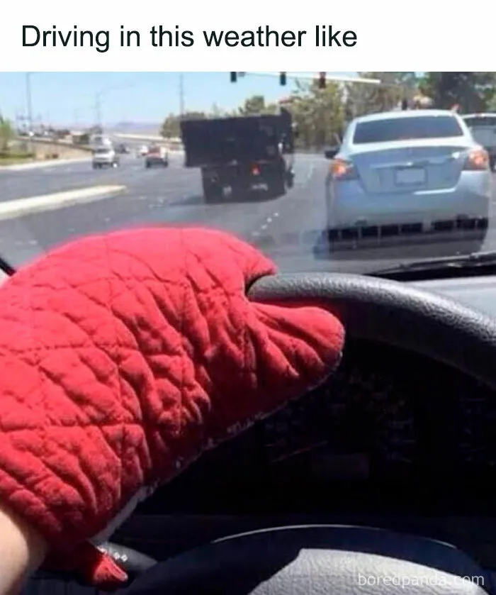 62 Funny Memes For People Who Feel Personally Attacked By The Sun