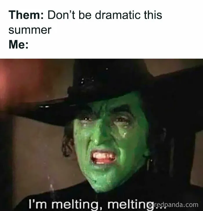 62 Funny Memes For People Who Feel Personally Attacked By The Sun