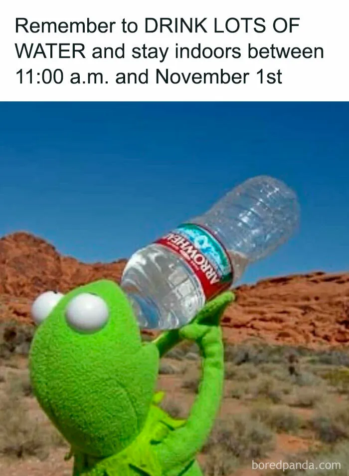 62 Funny Memes For People Who Feel Personally Attacked By The Sun