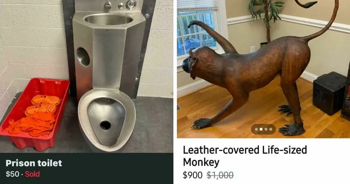 65 Marketplace Listings So Unhinged They Should Come With A Disclaimer And A Hotline Number