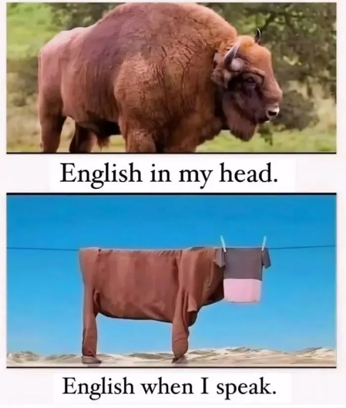 55 Funny Pics And Memes That Are Too Random To Not Laugh At