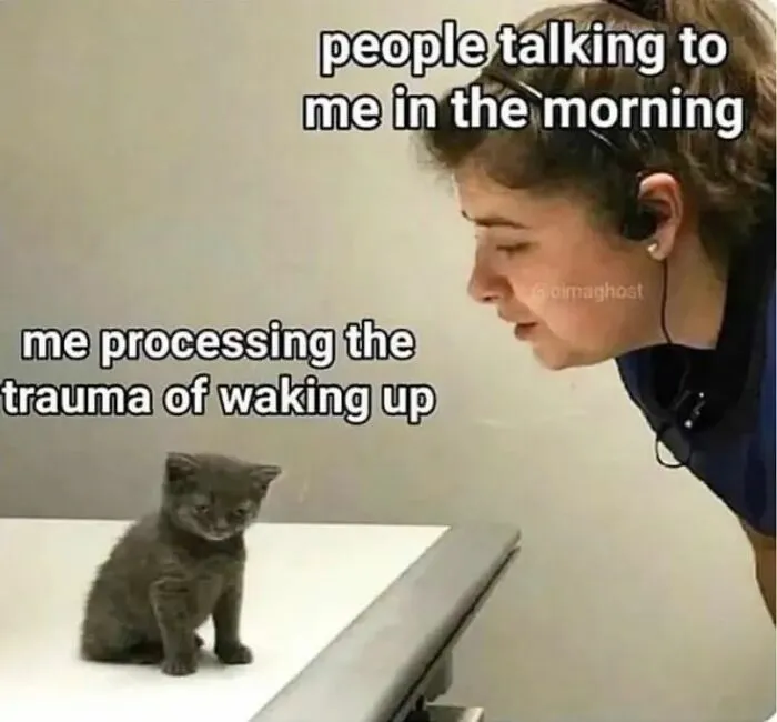 55 Funny Pics And Memes That Are Too Random To Not Laugh At