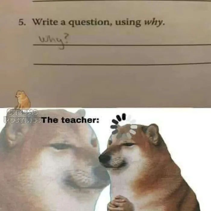 55 Funny Pics And Memes That Are Too Random To Not Laugh At