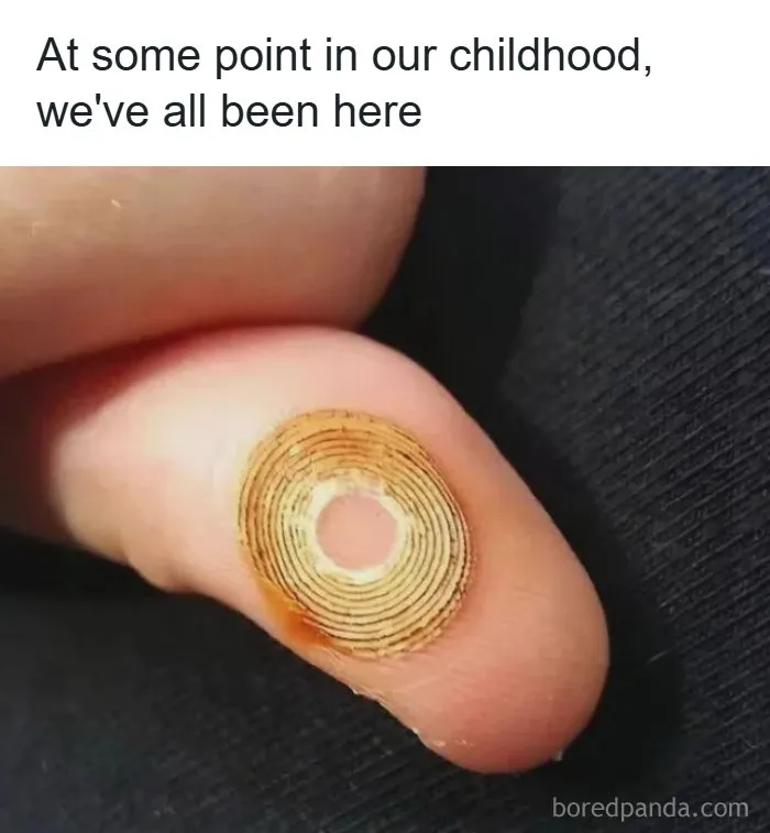 Someone, Please Help. What Is This?