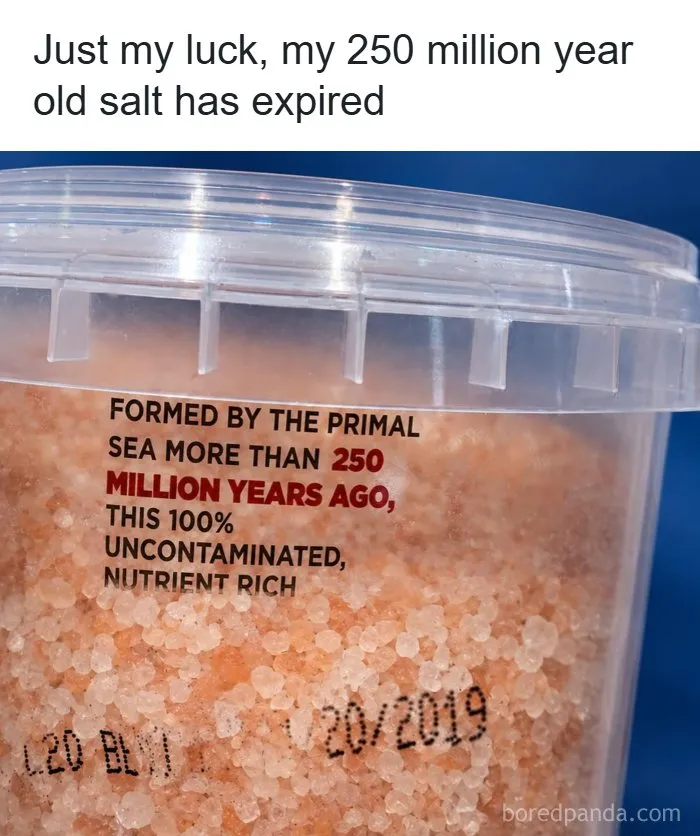 35 Memes And Roasts That Had No Business Being This Funny