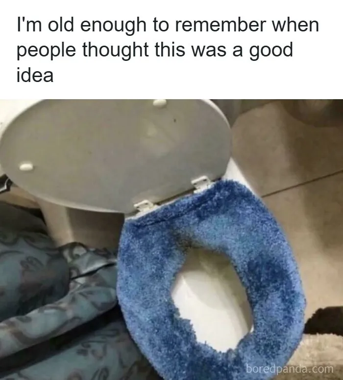 A close-up of a toilet with a blue fluffy toilet seat cover, a common sight from life in the 90s.