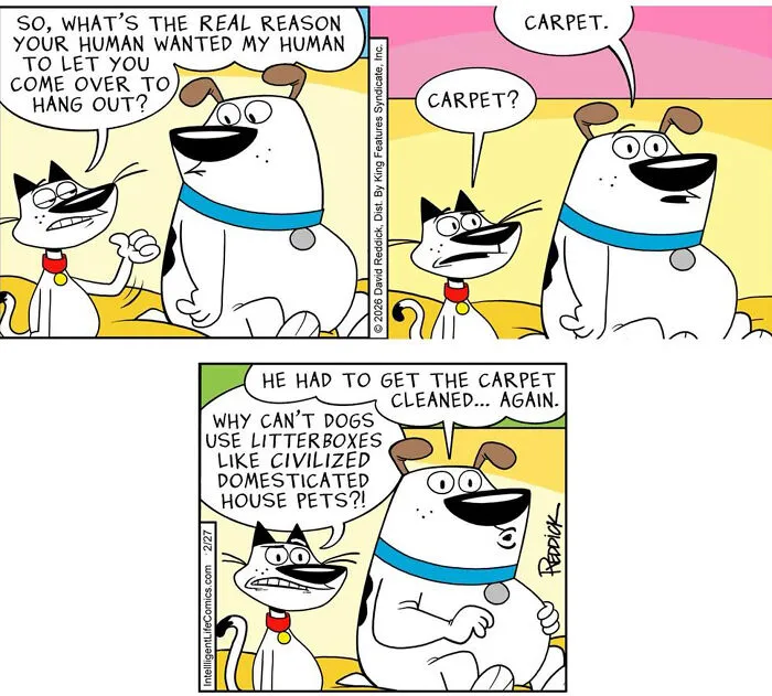 From Sleepless Mondays To Social Exhaustion: 30 Relatable Comics By Cartoonist David Reddick