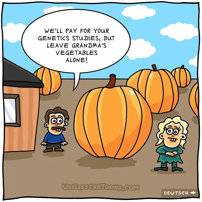 Artist Made 20 Absurd Comics That Make No Sense, And That’s Exactly Why They’re So Funny