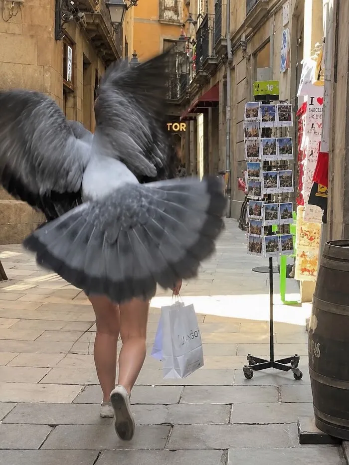 35 Divertidas fotos «accidentales» tomadas en el momento justo por este fotógrafo callejero