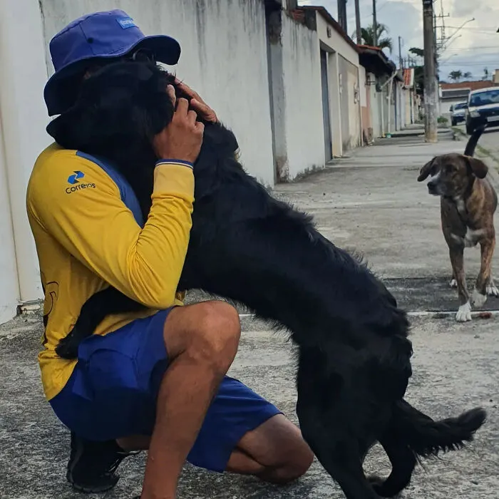Instead Of Barking, These Dogs Rush To Greet Their Favorite Mailman (24 New Pics)