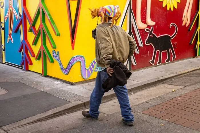 40 Times The Streets Looked Hilarious, Awkward, And Totally Relatable Through This Photographer’s Lens (New Pics)