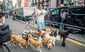 I Took 30 Photos That Show Why Japan Is A Dream Destination For Street Photographers