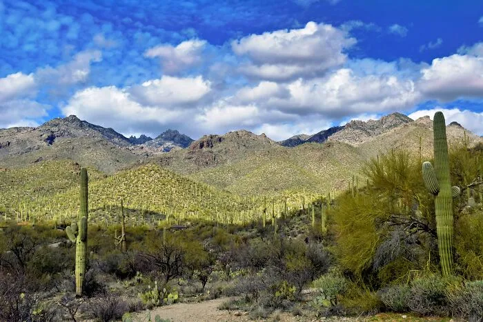 46 Things That Surprised Non-Americans The Most When They Finally Got To See The US With Their Own Eyes