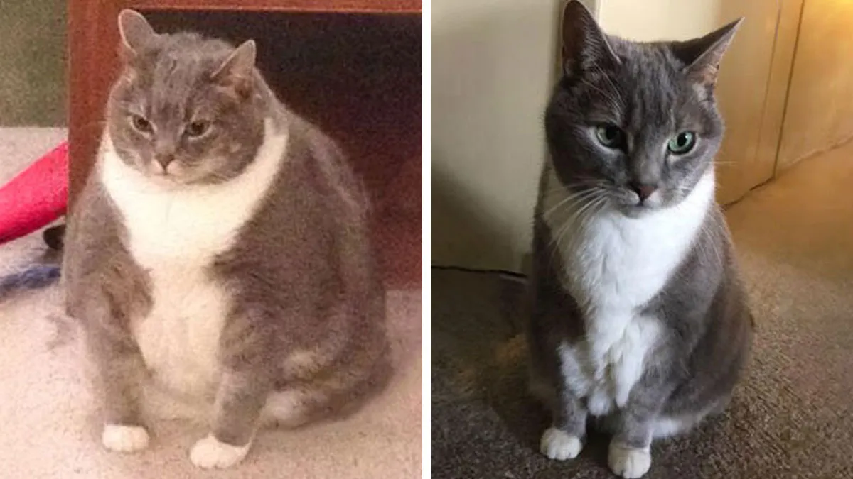 90 Mildly Interesting Before-And-After Photos That Show Just How Much Things Can Change