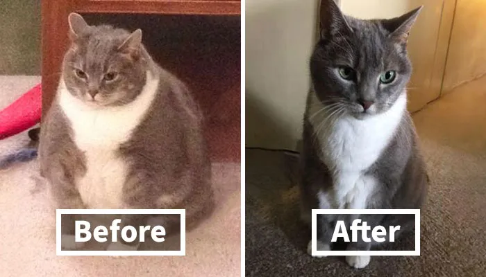 90 Mildly Interesting Before-And-After Photos That Show Just How Much Things Can Change