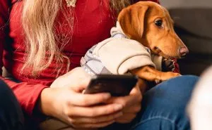 Man Demands Money After His 4-Year-Old Gets Bitten By Neighbor’s Dog, And Ends Up Paying His Own Price