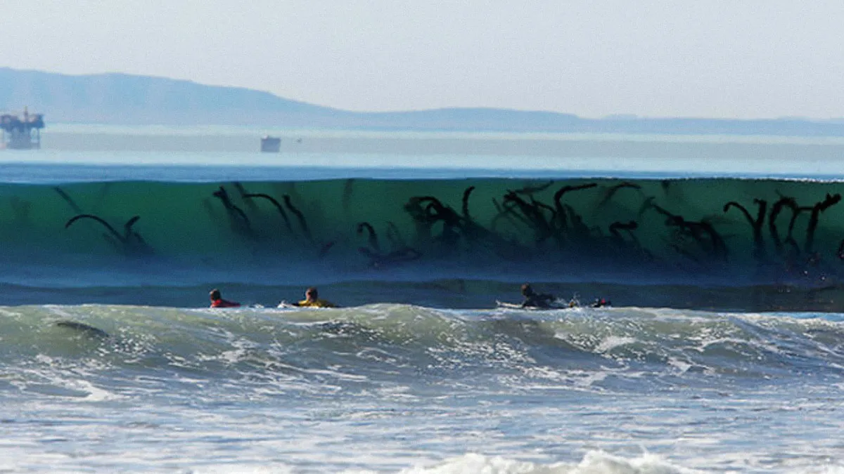 77 Oddly Terrifying Pics That Might Make You Feel Extremely Uncomfortable 
