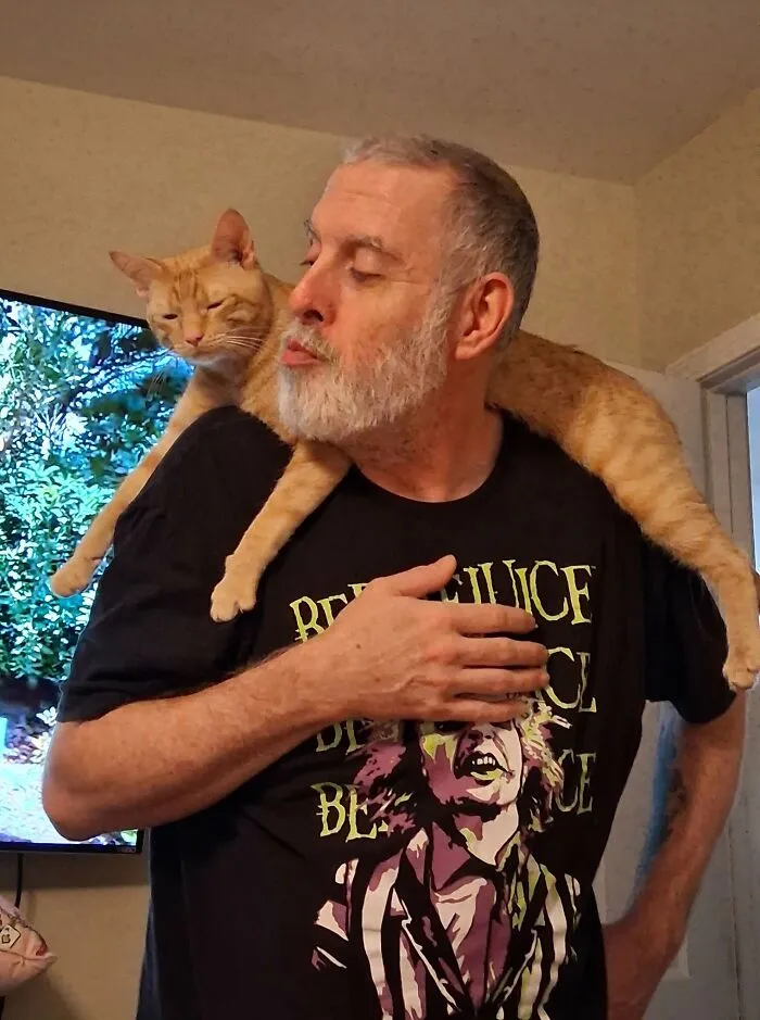 My Husband And Our Orange Son, Emmett