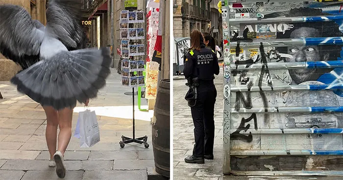35 Divertidas fotos «accidentales» tomadas en el momento justo por este fotógrafo callejero
