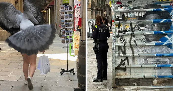 35 Divertidas fotos «accidentales» tomadas en el momento justo por este fotógrafo callejero
